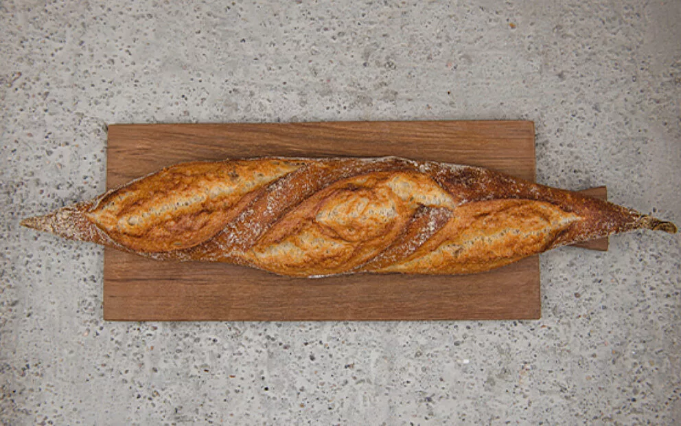 Prot von alex website baguette 2022