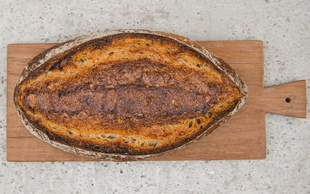 Prot von alex website hausprot 2022