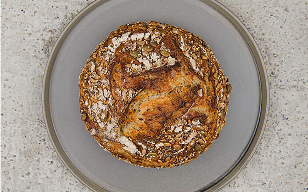 Prot von alex website saatenprot 2022