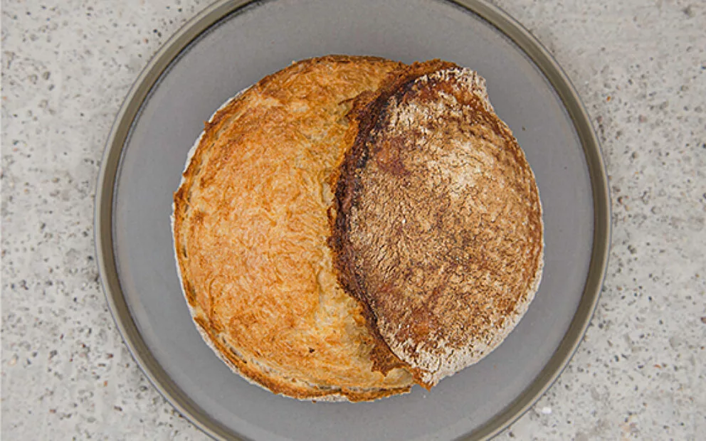 Prot von alex website weizenprot 2022